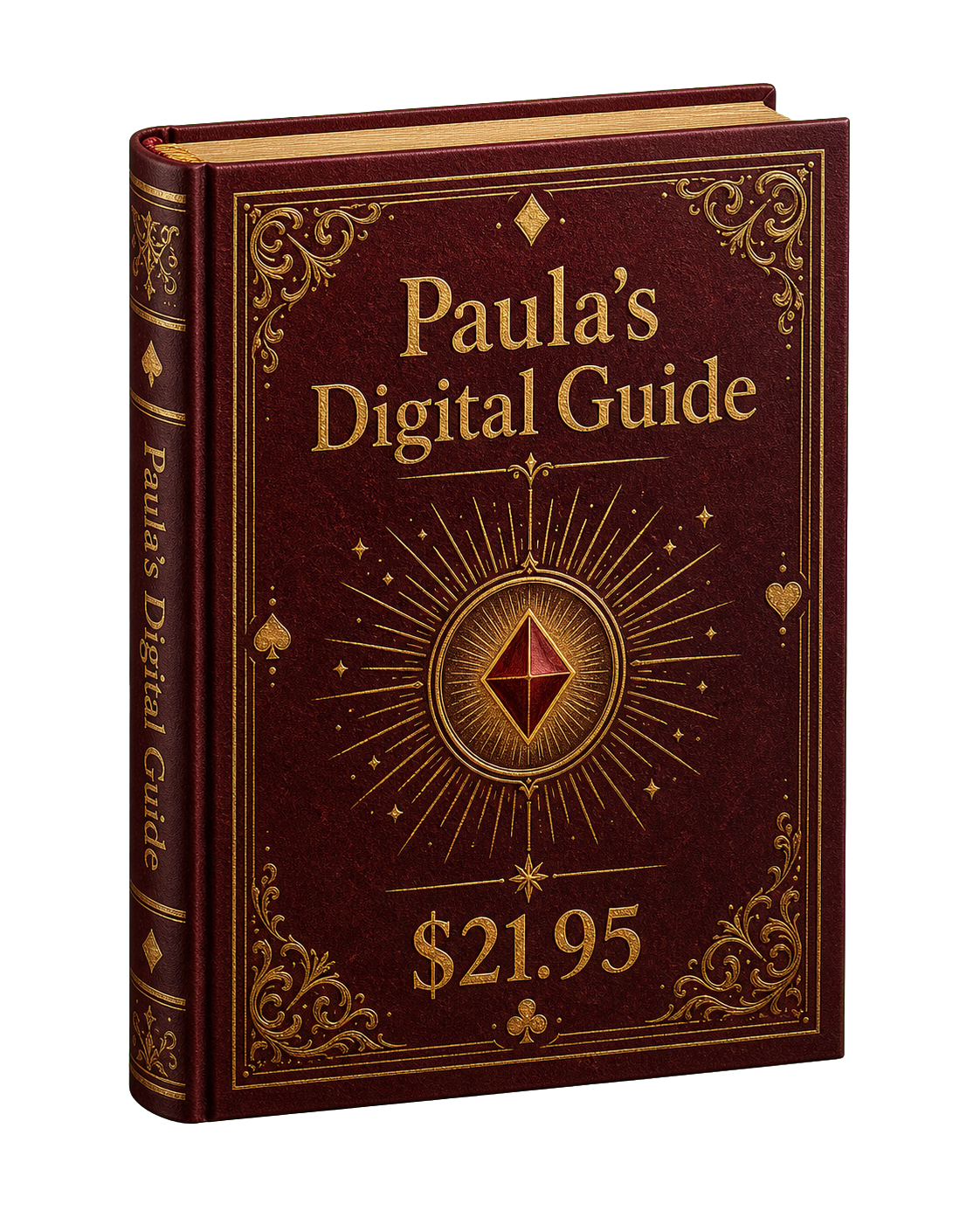Paula's Digital Guide book